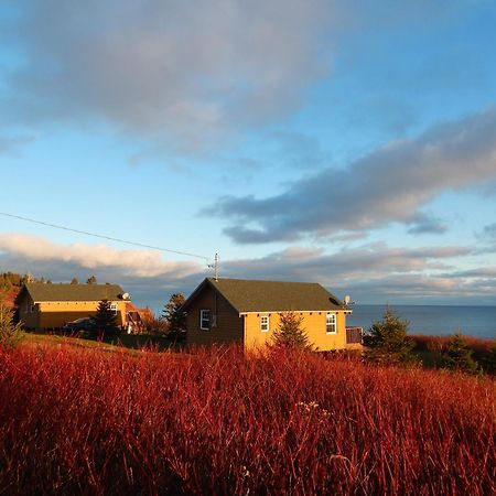 Les Chalets Brise-De-Mer Sainte-Therese-de-Gaspe Экстерьер фото