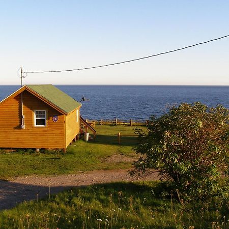 Les Chalets Brise-De-Mer Sainte-Therese-de-Gaspe Экстерьер фото
